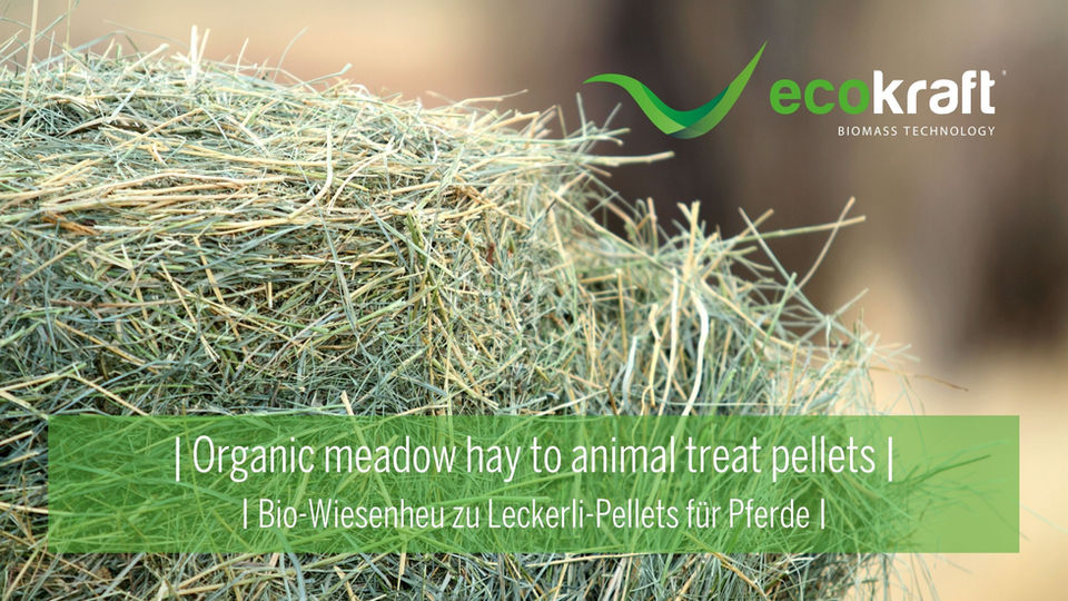 ECOKRAFT - Biowiesenheu zu Leckerli-Pellets für Pferde